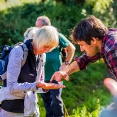 Thumbnail 2 - Wild Foraging Experience & Seasonal Feast