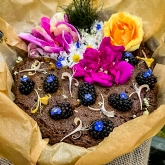 Thumbnail 7 - Wild Foraging Experience & Seasonal Feast