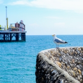 Thumbnail 5 - Brighton Street Photography Workshop