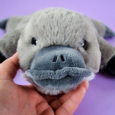 Thumbnail 4 - Warmies Platypus Microwaveable Plush