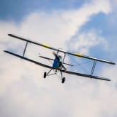 Thumbnail 2 - Historic Tiger Moth Flight in Shoreham