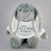 Thumbnail 6 - Personalised Like a Mum to Me Bunny Teddy