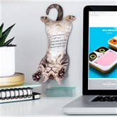 Thumbnail 6 - Cat Hanging Notes