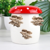 Thumbnail 3 - Mushroom Grow Kit