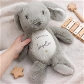 Thumbnail 4 - Personalised "I Belong To…" Bunny
