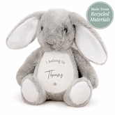 Thumbnail 5 - Personalised "I Belong To…" Bunny