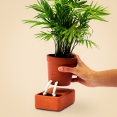 Thumbnail 8 - Self Care Planter