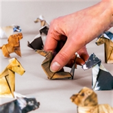 Thumbnail 8 - Paper Pups