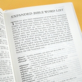 Thumbnail 10 - Personalised Bible