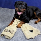 Thumbnail 5 - Personalised Pet Microfibre Towels