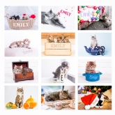 Thumbnail 11 - Personalised Cats & Kittens Calendars