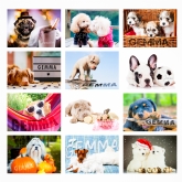 Thumbnail 11 - Personalised Barking Mad Calendars