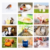 Thumbnail 11 - Personalised Cute Animal Calendars