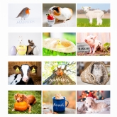 Thumbnail 6 - Personalised Cute Animal Calendars