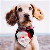 Thumbnail 3 - Personalised Santa Dog Bandana