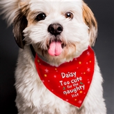 Thumbnail 4 - Personalised 'Too cute for the naughty list' Dog Bandana