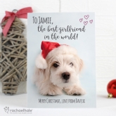 Thumbnail 4 - Personalised Rachael Hale Dog & Cat Christmas Cards
