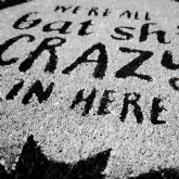Thumbnail 5 - Bat Shit Crazy Doormat