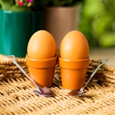 Thumbnail 1 - Plant Pot Egg Cup Set with Shovel Spoons