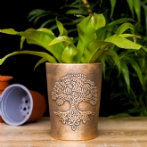 Thumbnail 3 - Bronze Terracotta Plant Pots