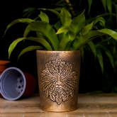 Thumbnail 7 - Bronze Terracotta Plant Pots