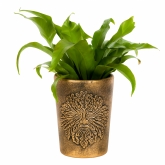 Thumbnail 10 - Bronze Terracotta Plant Pots