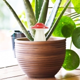 Thumbnail 1 - Self Watering Mushroom Planter