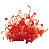 Thumbnail 1 - Red Crystal Growing Kit