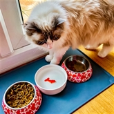 Thumbnail 4 - Goldfish Cat Bowl