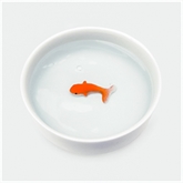 Thumbnail 5 - Goldfish Cat Bowl