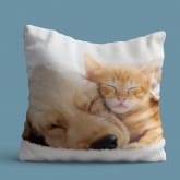 Thumbnail 2 - Personalised Pet Photo Cushion Gift Voucher