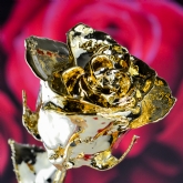 Thumbnail 5 - 24k Gold Rose