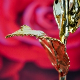 Thumbnail 6 - 24k Gold Rose