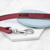 Thumbnail 9 - Personalised Classic Leather Dog Lead