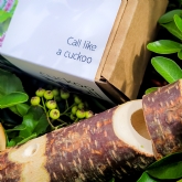 Thumbnail 2 - Wooden Cuckoo Call