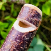 Thumbnail 5 - Wooden Cuckoo Call