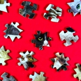 Thumbnail 5 - The World's Most Difficult Cat Jigsaw Puzzle