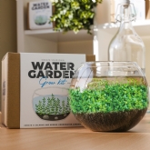 Thumbnail 1 - Water Garden Grow Kit
