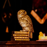 Thumbnail 1 - Warner Bros Harry Potter Alumni Hedwig Figurine