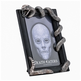 Thumbnail 3 - Warner Bros Harry Potter Dark Arts Nagini Frame