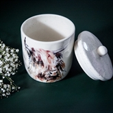 Thumbnail 1 - Meg Hawkins Highland Cow Storage Jar