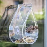 Thumbnail 1 - Dewdrop Window Bird Feeder