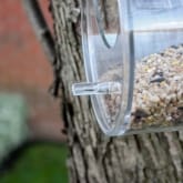 Thumbnail 7 - Dewdrop Window Bird Feeder