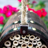 Thumbnail 3 - Bee Barrel