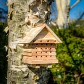 Thumbnail 3 - Interactive Solitary Bee Hive