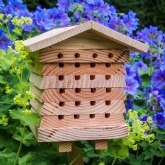 Thumbnail 4 - Solitary Bee Hive
