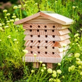 Thumbnail 9 - Solitary Bee Hive