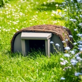 Thumbnail 2 - Timeless Hedgehog House with Grey Entrance
