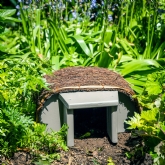 Thumbnail 3 - Timeless Hedgehog House with Grey Entrance