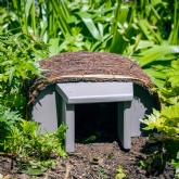 Thumbnail 5 - Timeless Hedgehog House with Grey Entrance